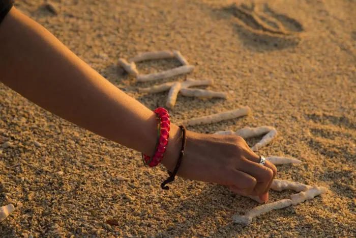 沖縄でダイビングのプロを目指そう!!ワーキングスタディー