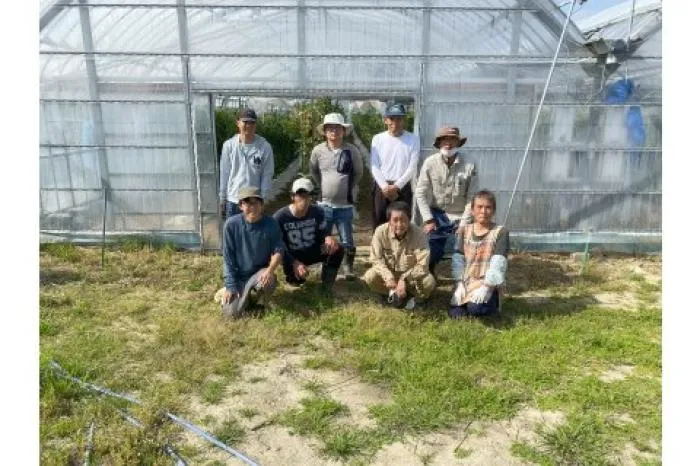 中途　青果物の栽培管理、収穫作業