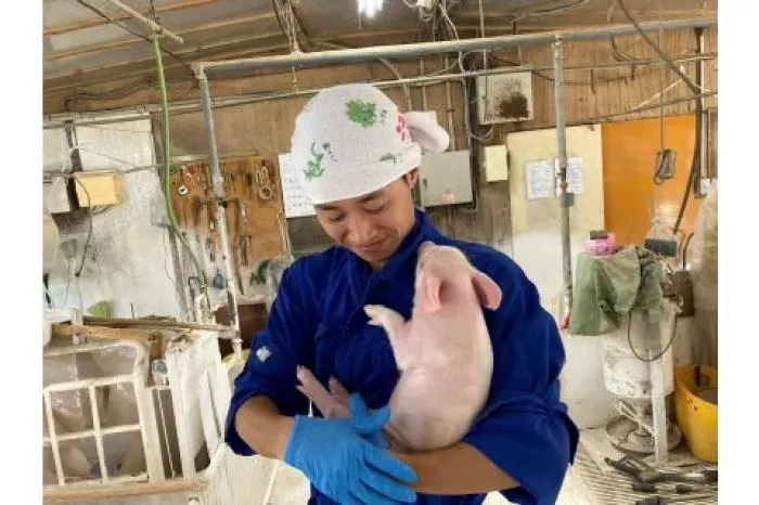 中途　養豚場の管理スタッフ【未経験応募可】