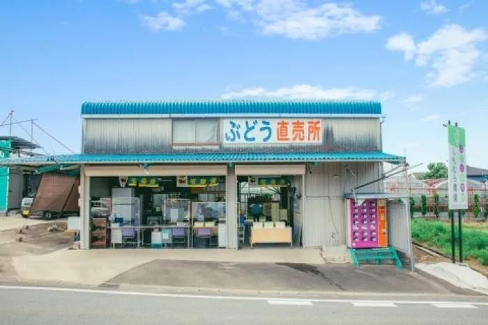 中途 ぶどう栽培・販売スタッフ【未経験者応募可】